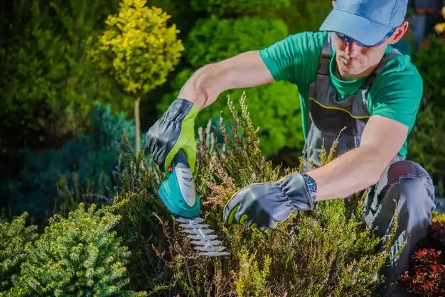 landscaping services Manistee